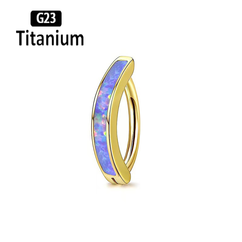1PC 14G Implant Grade G23 Tita - Body Jewelry Implants 评论和价格